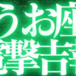 【緊急速報🚨】魚座♓️絶対みて⚠️近未来、迷いがなくなり幸せになる💓