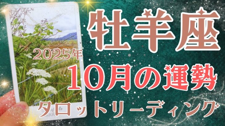 牡羊座さん♈️2025年10月の運勢タロットリーディング✨仕事運・金運・対人運も見ました✨