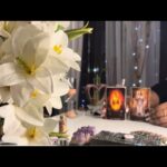 Gemini Love Tarot🖤 An argument leads to a break up 🫢 September Soulmate Tarot Card Reading Horoscope