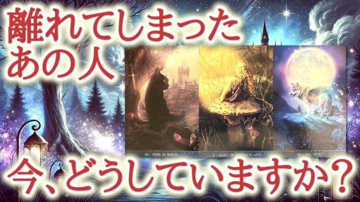 離れてしまったあの人、今どうしていますか？🌙💕✨離れている時間の中で、あの人がどんな日々を過ごし、どんな想いを抱いているのか、カードから読み解きます🔮恋愛タロット占い・オラクルカードリーディング