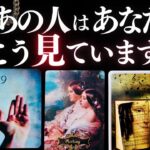 ➳❤︎ 恋愛タロット :: あの人はあなたをどう見てる？ 👀 今あの人が感じていること、全部お伝えします🙀💕 あなたへのアドバイス付 ❤️ルノルマンLOVE #kipper (2025/9/24)