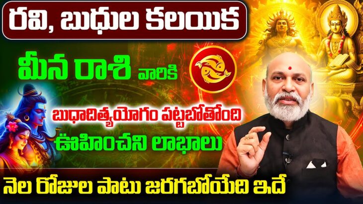 రవి బుధుల కలయిక | Meena Rasi September 2025 Telugu | September 2025 Meena Rasi | Pisces Monthly