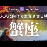 蟹座9月🕊️相反する物の中で大局的に捉えられる時期✨️Monthly Reading💎