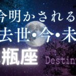 水瓶座の過去世•今•未来🔮[霊視リーディング]今世のカルマと訪れる未来✨
