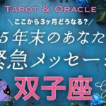 【双子座♊️】鳥肌級の感動回でした🥹✨年末どうなってる？未来のあなたがどうしても伝えたいこと💌タロット＆オラクル／Tarot&Oracle card reading／Gemini