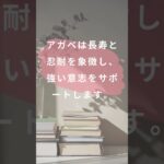 【おすすめ風水プランツ】忍耐力を高めたいなら、アガベを試してみて！#幸運 #運気UP #風水