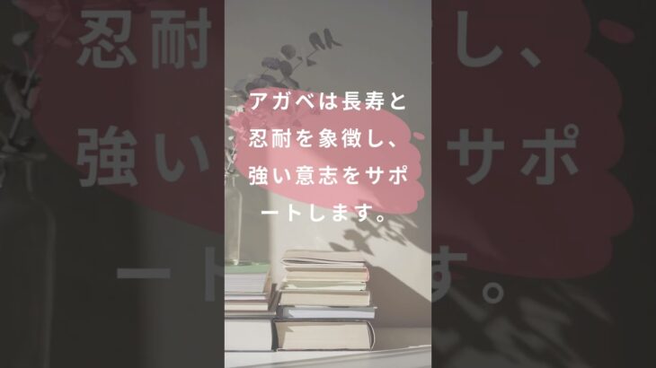 【おすすめ風水プランツ】忍耐力を高めたいなら、アガベを試してみて！#幸運 #運気UP #風水