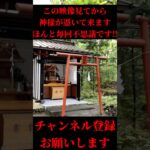 ※この後すごい事が起きます #開運 #金運 #スピリチュアル #風水 #神様#神社#運気#運気アップ #占い