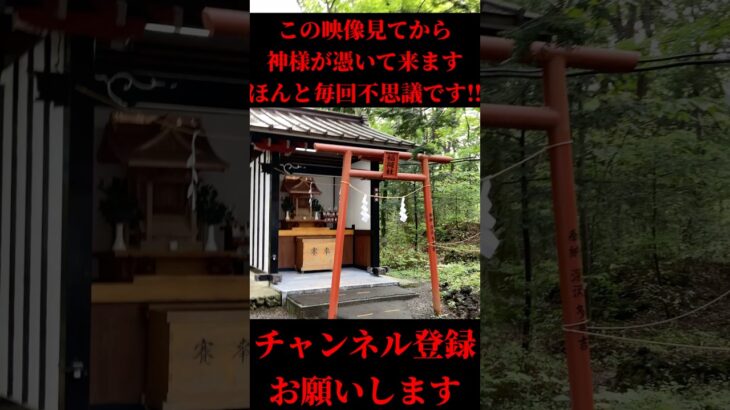 ※この後すごい事が起きます #開運 #金運 #スピリチュアル #風水 #神様#神社#運気#運気アップ #占い