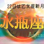 【9月後半✴︎水瓶座】手に触れられる範囲に意識を◎肩の力を抜いて再挑戦できる時🌿新しい自分にも出会えそう！【2024】