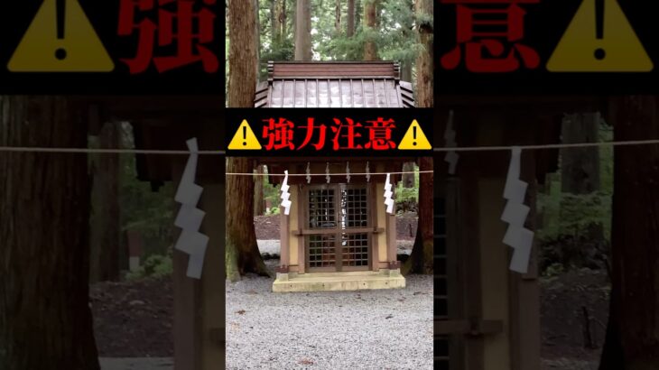 ※この後すごい事が起きます #風水 #金運 #開運 #スピリチュアル #今日から開運 #神社