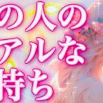 タロット占い恋愛【すごない？○のカード💕】お相手のリアルな気持ち🌸お相手の本音聞いてます👂会話式