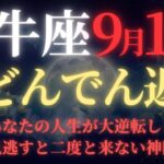 【牡牛座♉9月後半】⚠️8秒以内に再生して！牡牛座限定の宇宙銀行特別融資が開始｜見逃すと次は2071年｜人生が根本から豊かになる安定の16日間【2025年運勢】