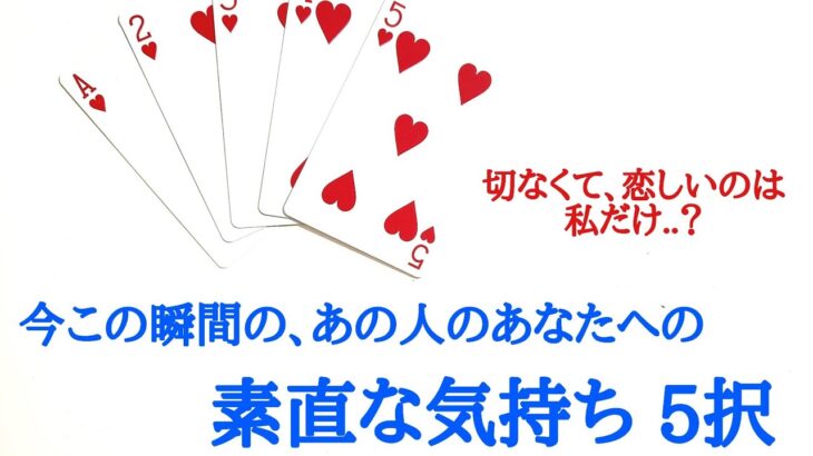 🌹恋愛タロット占い🌹やや辛口あります🌶️片思いからカップル復縁の方まで 今この瞬間の、あの人のあなたへの素直な気持ち5択