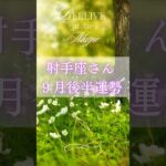射手座9月後半運勢　#射手座　#いて座 #タロット占い #tarot #タロットリーディング #星座占い
