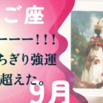 強すぎ注意⚡️動きます、とても。必ず最後まで見てください。【9月の運勢　双子座】
