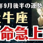 【牡牛座】 2025年9月後半 おうし座の運勢 「運命急上昇」
