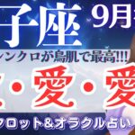 【獅子座】超鳥肌っ😳💦こんな展開ある⁉️今、揺れ動いている方、全体運だけでも観てみてくださいね💗✨【仕事運/対人運/家庭運/恋愛運/全体運】9月後半 タロット占い