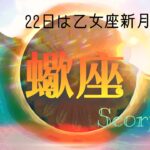 【9月後半✴︎蠍座】自己能力で循環を生み出せる無限のパワー🔥人との違いや関わりが傷を癒す時🌿変化しないという変化も大切◎【2025】
