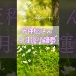 天秤座9月後半運勢　#天秤座　#てんびん座 #タロット占い #tarot #タロットリーディング #星座占い
