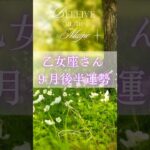 乙女座9月後半運勢　#乙女座　#おとめ座 #タロット占い #tarot #タロットリーディング #星座占い