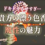 あなたの漂う色香💕魔性の魅力をお相手・周りの人に聞いてみました。【男心タロット、細密リーディング、個人鑑定級に当たる占い】