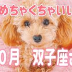 双子座　１０月　めちゃくちゃいいです　調子取り戻します　御活躍の月