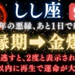 ♌獅子座《66か月》続いた《悪縁》がついに終わる。あと1日で現実が爆発的に動き出す　【12星座占い】【2025年運勢】 #獅子座  #金運  #占星術 #開運