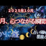 【かに座 2025年10月の運勢】占い猫Aruの星占い🌙 総合運・恋愛・金運・仕事・健康・ラッキーガイド