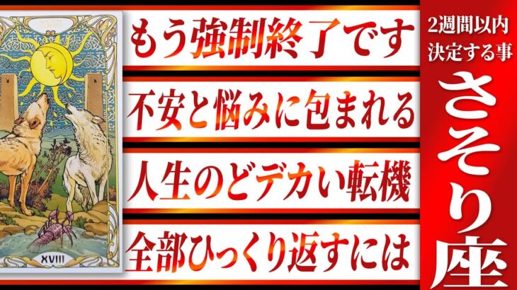 【蠍座】すぐに見て!!さそり座さんの未来に激震が走ります… 良宝華羽先生