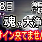 魚座満月＆皆既月食2025年9月8日【光の世界へ】魂の大浄化と目覚めで本当の自分へ還る【COCORO Platinum】
