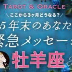 【牡羊座♈️】鳥肌級の大化けです😳✨年末どうなってる？未来のあなたがどうしても伝えたいこと💌タロット＆オラクル／Tarot&Oracle card reading／Aries