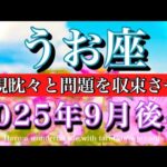 うお座♓︎9月後半タロットリーディング💫着実な一手！虎視眈々と問題が収束してゆく時！Pisces tarot  reading