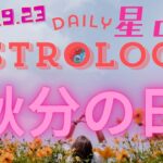 乙女座新月＃占い #星読み 　#tarot　＃天秤座　＃秋分の日　＃春分の日　＃四季図