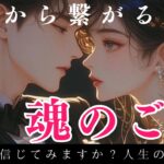 🧬DNAが惹かれ合う2人❤️新時代の恋愛の方、すでに出会っているツインさん、はは愛と最終ツインレイ☯️霊感霊視🔮サイキックリーディング〕