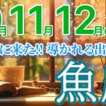 【魚座10月~12月🍁】この出会いが“あなたの未来”を動かします🔑［運勢リーディング＆タロット＆オラクル］