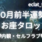 【うお座さん】黒い感情を感じても良い！✨YESマンでなくても良い！あなたは蝶🦋になって羽ばたく👍今はその準備期間！