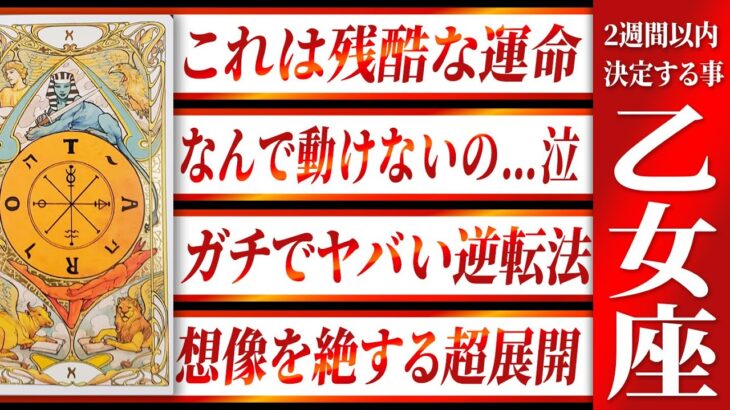 【乙女座】17秒以内に見て!!もうすぐ乙女座さんに超重大なことが起きます… Akari先生