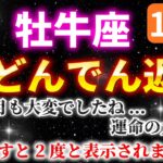 【牡牛座】４６ヶ月も続いた困難期が終わります✨【12星座占い】