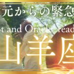 山羊座さんへ💌この動画に出会った時がタイミング⚜️高次元からの緊急伝言👑タロット&オラクル