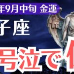 【双子座】2025年9月中旬、ふたご座、涙が止まらない…報われないあなたに訪れる“逆転の金運”