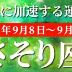 蠍座 【 さそり座 ♏ 】 毎週タロット (2025年9月8日の週) 急展開！999のギフトが奇跡の調和を呼ぶ✨🔑 タロット占い タロットリーディング