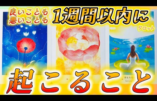 【本当に起きます】期待してください✨あなたの1週間に、必ずハッピーな出来事が待ってる❗️個人鑑定級タロット占い