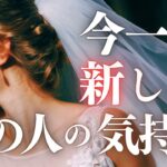 ➳❤︎恋愛タロット:: 今いちばん新しいあの人の気持ち☽*̣̩ 天秤座新月にあの人は…🙀💕 あなたへの応援アドバイス付 #pickacard  (2025/9/22)