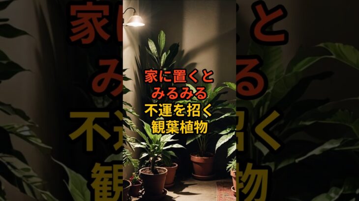 【要注意】何故か不運を招く観葉植物3選 #風水 #金運 #開運  #shorts