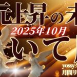 10月の運勢🦋いて座　このタイミング、絶対逃さないで⚡️本質に向き合うと人生がグンッと進む！10月は次元上昇の入り口です(お金・仕事・人間関係)