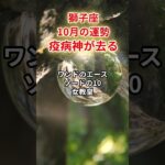 【獅子座】2025年10月「しし座の運勢」#獅子座 #しし座 #獅子座の運勢