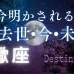 蠍座の過去世・今・未来🔮[霊視リーディング]今世のカルマと訪れる未来✨