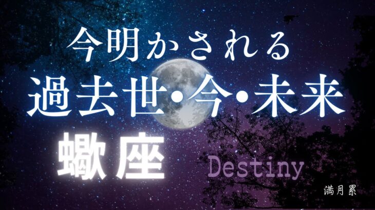 蠍座の過去世・今・未来🔮[霊視リーディング]今世のカルマと訪れる未来✨