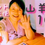 山羊座♑10月　古い生き方への固執に気づく月👫#山羊座　#10月　#運勢　#猫